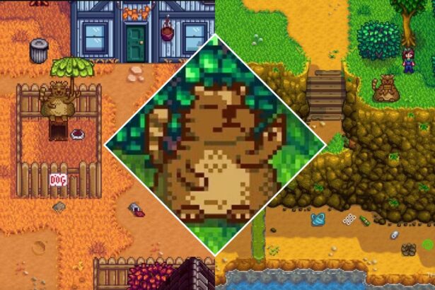 How To Complete Trash Bear’s Quests: Stardew Valley Guide