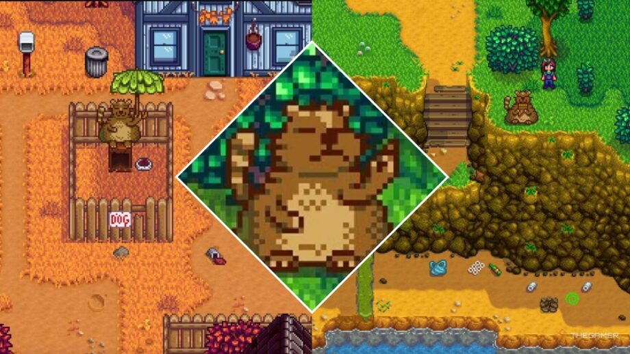 How To Complete Trash Bear’s Quests: Stardew Valley Guide