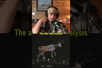 IRL hunter Sam Soholt plays and appreciates Way of the Hunter 2. Presented by @thqnordic